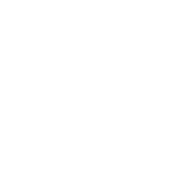 Advokat Dobrivoje Paločević